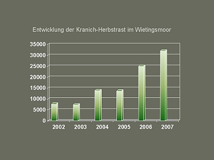 entwicklung-kranich-herbstrast-wietingsmoor