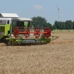 Ernte 2005: Landwirt Lüder Steenken mäht in ausreichendem Abstand um das Nest herum. Die Jungen werden später flügge.