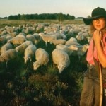 Auf den Spuren von Schäfer Eschenhorst: Kerstin Rosenberg verlegt das Gehüt aufgrund der Mittagshitze in die Abendstunden.