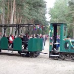 Die Ströher Moorbahn nach der Abfahrt an der Schäferei Teerling. Foto: Kai Backhaus