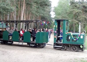 Die Ströher Moorbahn nach der Abfahrt an der Schäferei Teerling. Foto: Kai Backhaus