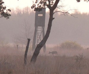 Jagdkanzel im Wietingsmoor.