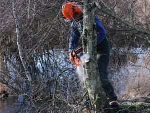 Foto: Freistellen einer Moorfläche im Oppenweher Moor.