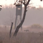 Jagdkanzel im Wietingsmoor. Auf männliches Rehwild darf jetzt auch vom 16. Oktober bis 31. Januar gejagt werden.