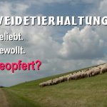 DVD-Empfehlung: Weidetierhaltung – Geliebt. Gewollt. Geopfert?