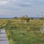 NWE10 konterkariert in Teilbereichen Naturschutzziele